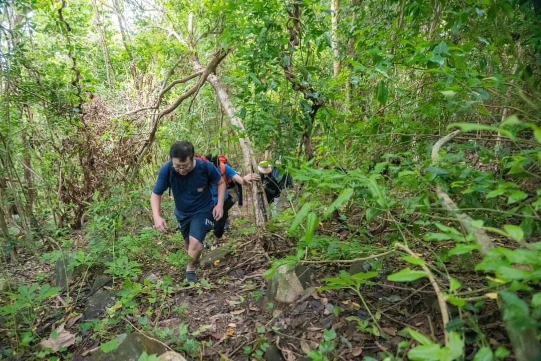 Con Dao Backpacker - Loco Camping Chi Khu Co Ong 外观 照片