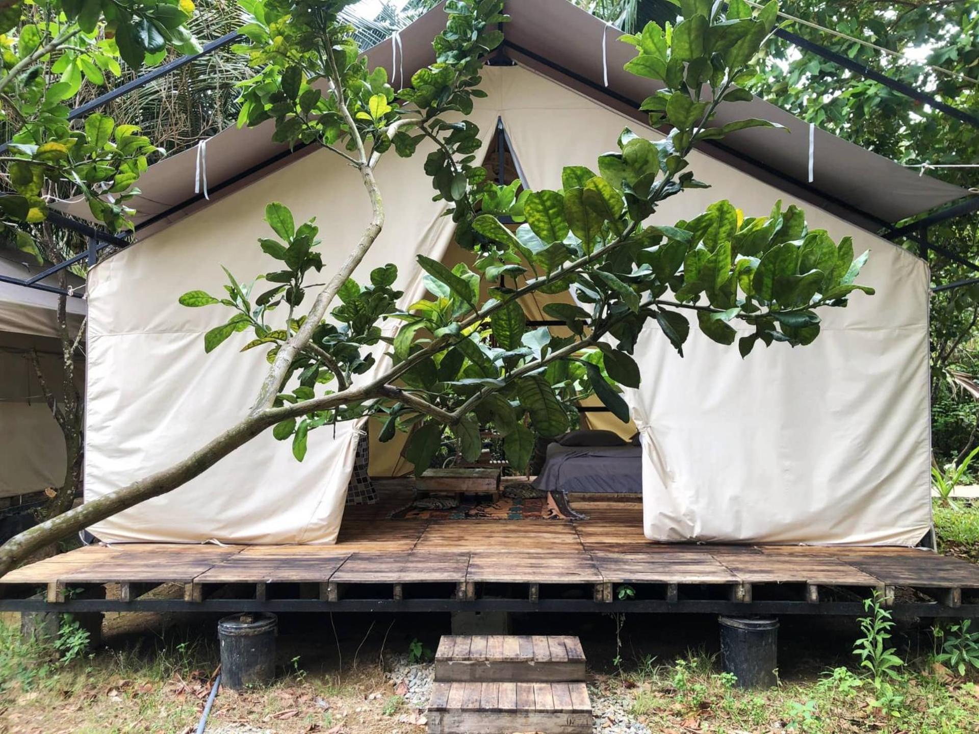 Con Dao Backpacker - Loco Camping Chi Khu Co Ong 外观 照片